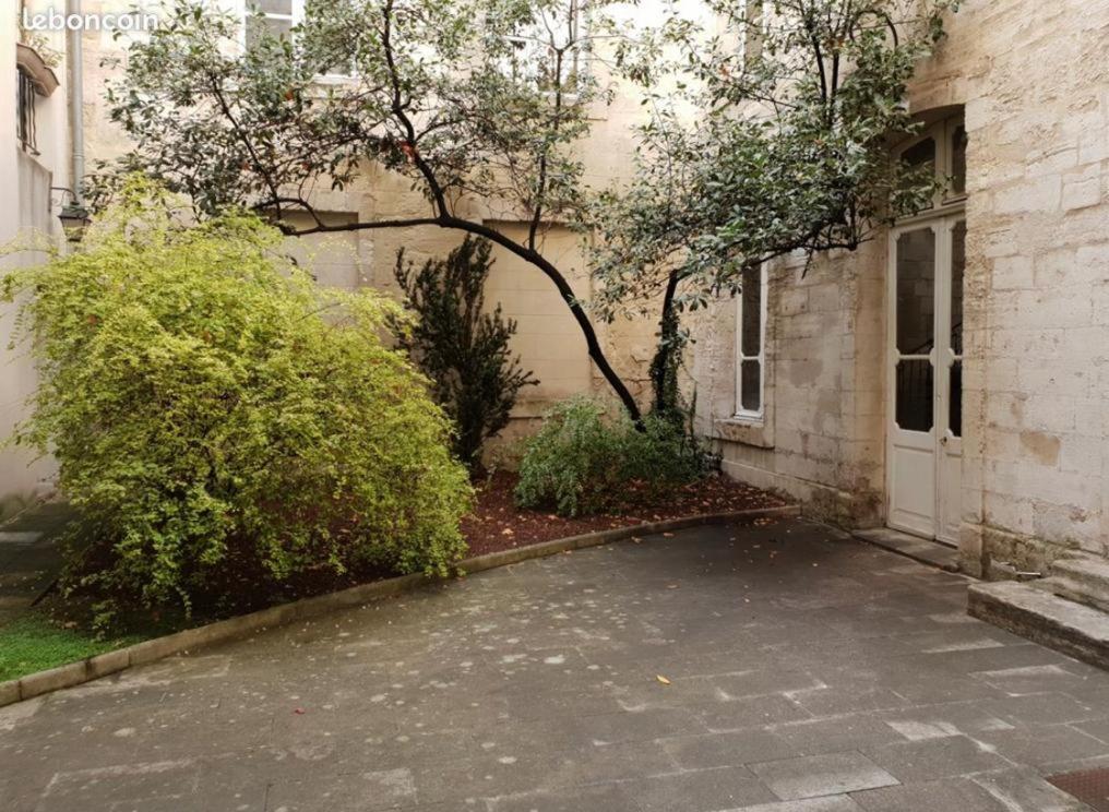Intra-muros Appartement